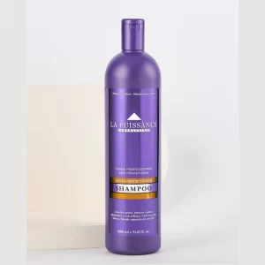 Shampoo Silver x 1 LT